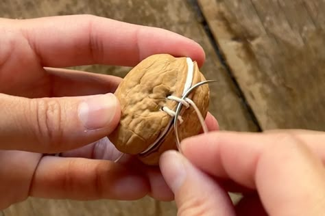 DIY Walnut Shell Notebooks - Woodlark Blog Black Walnut Shell Crafts, Walnut Shell Craft, Walnut Miniatures, Peanut Crafts, Walnut Craft, Woodlark Blog, Walnut Crafts, Shell Book, Walnut Shell Crafts