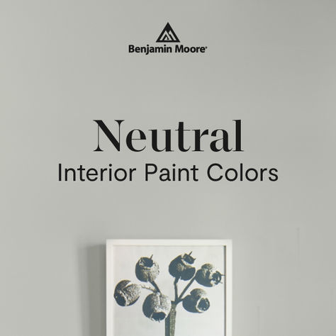 It's time for timeless. Polished ebony floors. Ironed linen sheets. Rustic farm tables. The Benjamin Moore collection of neutral paint colors never gets weary. They're an atmospheric and inviting choice—subtle, nuanced colors for any time, every space. Fog Mist Benjamin Moore, Neutral Benjamin Moore Paint Colors, Metropolitan Benjamin Moore, Benjamin Moore Barren Plain, Benjamin Moore Neutrals, Ebony Floors, Neutral Paint Colors Benjamin Moore, Neutral Interior Paint Colors, Neutral Wall Colors