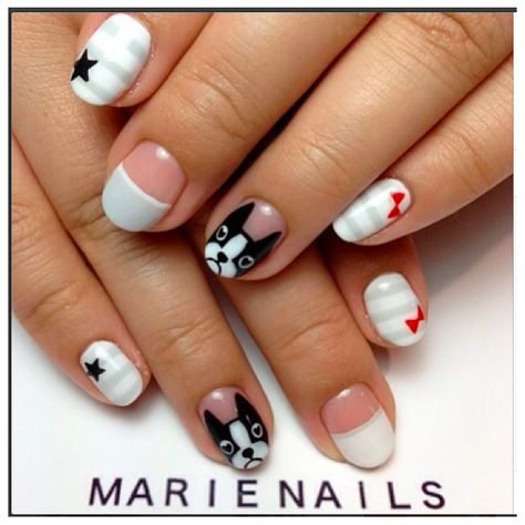 Marie Nails - boston terrier Dog Nail Art, Dogs Photos, Animal Nail Art, Animal Nails, Nails For Kids, Dog Nails, Cute Nail Art, Unique Nails, Boston Terriers