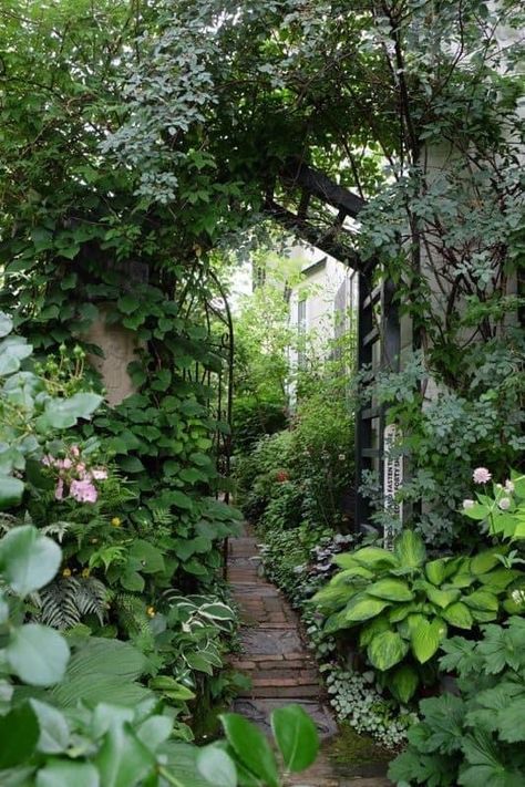 Secret Garden Ideas, Hidden Garden, Side Garden, Have Inspiration, Magical Garden, Woodland Garden, Plants And Flowers, Garden Signs, Small Gardens