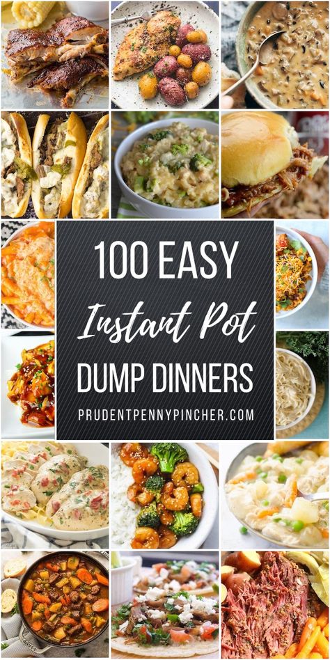 Dump And Go Instant Pot Recipes Chicken, Dump And Go Instapot Dinners, Slow Cook Instant Pot Recipes, Easy Fall Instant Pot Recipes, Instant Pot Recipes For 2 People, Instant Pot Recipes For One, Dump Instapot Recipes, Fall Dinner Recipes Instant Pot, Dump Dinners Instant Pot