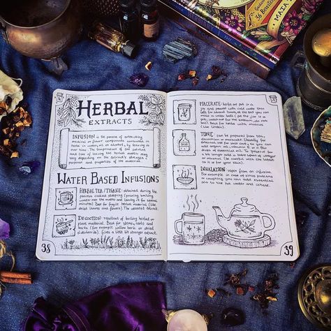 Witchy Bullet Journal, Herb Art, Bullet Journal Spreads, Grimoire Book, Spiritual Journals, Bullet Journal Ideas, Witchy Crafts, Journal Spreads, Journal Aesthetic