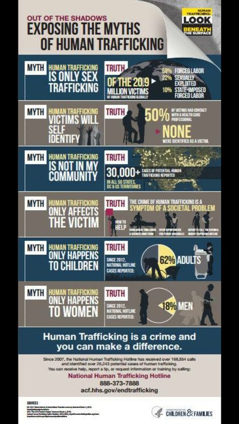 Human Trafficking Illustration, Human Trafficking Poster, World Day Against Trafficking In Person, Human Trafficking Infographic, Human Trafficking Facts, Human Traffic, Myths And Facts, Program Director, Stop Human Trafficking