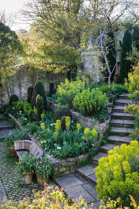 Garden steps and ramps: coping with a sloping garden - Gardens Illustrated Sloping Garden, Terrace Gardens, Terraced Garden, Garden Nook, Hillside Garden, Barn Living, Sloped Backyard, Garden Stairs, Garden Inspo