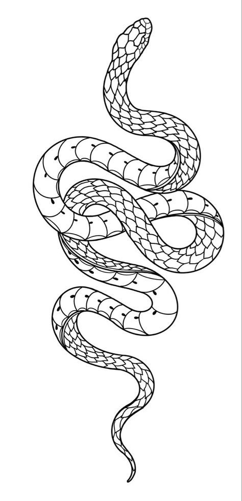 Snake tattoo stencil Women Tattoo Stencil, Snake Tattoo Stencil, Snake Outline, Cobra Tattoo, Baby Tattoo, Tattoo Snake, Serpent Tattoo, Stencil Outline, Snake Drawing