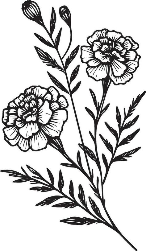 Fantasy marigold wall decor, marigold doodle, and sticker, Marigold vector art, monochrome floral illustration. ink vector illustration hand drawn pencil sketch, a branch of botanical collectio Wild Flower Art Drawings, Marigold Flower Stencil, Marigold Flower Svg, Marigold Tattoo Behind Ear, Marigold Border Design, Desert Marigold Tattoo, Marigold Chest Tattoo, Easy Marigold Drawing, Marigold Outline Tattoo