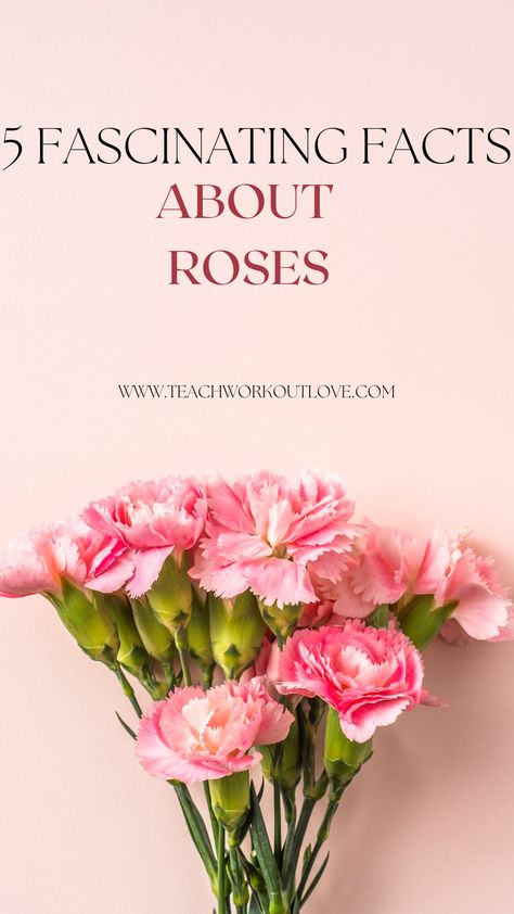 Here at FiftyFlowers, we not only offer wholesale roses but also study everything about flowers because they are our life and our passion. Here are some incredible facts about roses that you may not have heard. Roses are sometimes named after celebrities The rose is one of the most popular flowers in the world, which … The post 5 Fascinating Facts About Roses appeared first on Teach.Workout.Love. Most Beautiful Flowers In The World Roses, Wholesale Roses, Rose Parade, Most Popular Flowers, Popular Flowers, Did You Know Facts, Most Beautiful Flowers, Fascinating Facts, Wine Making