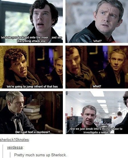 Sherlock Jokes, Sherlock Holmes Benedict Cumberbatch, Watson Sherlock, Movie Nerd, Jim Moriarty, Mrs Hudson, Sherlock Quotes, Dr Watson, Sherlock Fandom