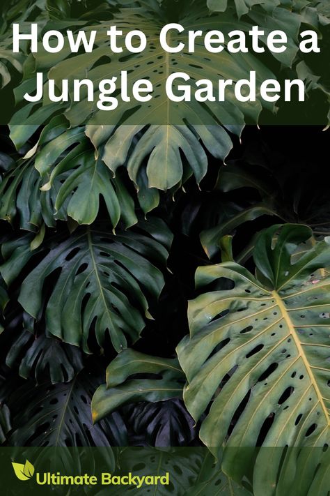 Bring the rainforest to your backyard with this detailed guide on jungle gardening. Explore the best tropical plants to use, how to design a lush and immersive layout, and the benefits of adding water features. Get practical advice on garden maintenance to keep your space looking beautiful and thriving. Ideal for anyone looking to create an exotic garden oasis at home. Tropical Garden With Water Feature, Jungle Walkway, Forest Garden Backyards, Jungle Garden Ideas, Jupiter Project, New Build Garden Ideas, Pool Area Landscaping, Rainforest Garden, Wild Gardens