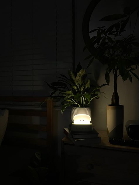 Night in my room bed space #roomdecoration #plants #guysroom #bedroomideas #aesthetic #green #night Dark Bedroom Plants, Bed Aesthetic Night, Planty Room, Black Aesthetic Room, Reel Background, Bedroomideas Aesthetic, Plant Room Aesthetic, Plant Night, Black Room Decor