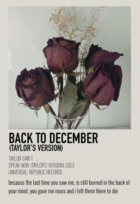 Speak Now Back To December, Polaroid Poster Taylor Swift, Speak Now Taylors Version, Song Cards, Poster Taylor Swift, Back To December, Polaroid Album, Minimal Posters, Song Posters