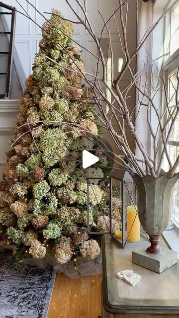 Mary Ann Beaudry on Instagram: "Are these REAL hydrangeas on your Christmas tree? ⤵️  . 🎄 So many of you have asked… . 💫 YES!!  . 🎄 Majority of these blooms I cut from a single Limelight Hydrangea bush. . 💫 It’s hard to believe I only cut 1/4 of the blooms off the bush. . 🎄 I didn’t do anything special to dry them.  . 💫 Just waited until they felt like paper on the bush. . 🎄 Cut them and placed them in a small box. . 💫 That’s it - easy peasy!  . 🎄 Do you like decorating with hydrangeas?  . 💫 Where do you use them? . . #LimelightHydrangea #HydrangeaFlowers #HydrangeasAreMyFavorite  #HydrangeaFlower #HydrangeaLove #ChristmasTreeIdeas #ChristmasTreeInspo #driedhydrangeas" Dried Hydrangeas Christmas Tree, Dried Hydrangeas In Christmas Tree, Dry Flowers Christmas Tree, Dried Limelight Hydrangeas, Dried Hydrangea Garland, Decorating With Dried Hydrangeas, Dried Hydrangeas Christmas Decor Ideas, Dried Hydrangea Christmas Tree, Spray Paint Hydrangeas