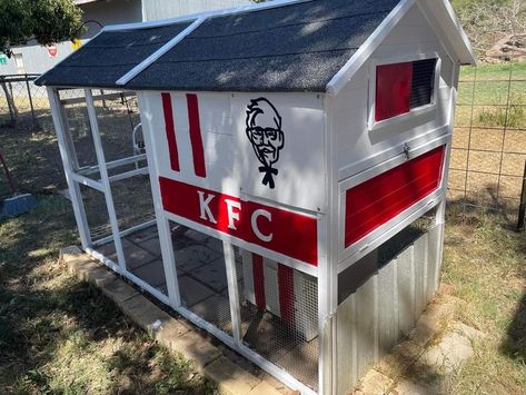 Kfc Chicken Coop, Chicken Home, Kfc Chicken, Chicken Life, Backyard Chicken Coops, Diy Chicken Coop, Chicken Diy, Chickens Backyard, Chicken Coop