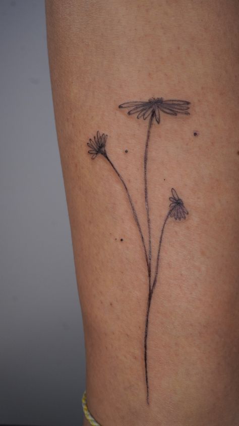 Fineline tattoo, botanic tattoo, floral tattoo, girly tattoos Line Daisy Tattoo, Fine Line Daisy, Fine Line Daisy Tattoo, Inspiring Tattoos, Botanical Tattoos, Daisy Tattoo, Botanical Tattoo, Abstract Tattoo, Fine Line