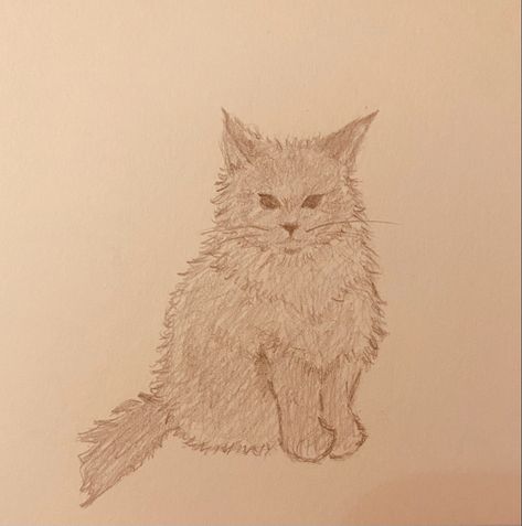 Fluffy Texture Drawing, Cat Drawing Fluffy, How To Draw A Fluffy Cat, Fluffy Cat Sketch, Fluffy Cat Drawing, English Assignment, Kitten Drawing, Cat Doodle, Cat Sketch