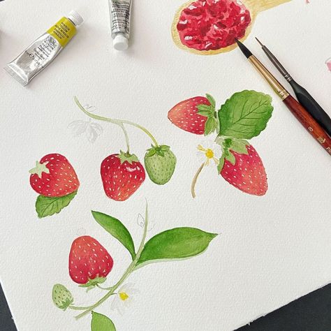 Watercolor Strawberry, Strawberry Watercolor, Strawberry Art, Watercolor Food, Watercolor Paintings Tutorials, Sketchbook Journaling, Strawberry Jam, Food Drawing, Painting Tutorial