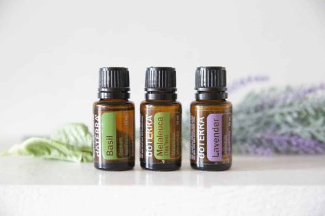 Essential Oils for Earache | Natural Remedies for Kids Essential Oil For Ear Pain, Essential Oils For Earache, Oils For Ear Ache, Earache Remedies, Essential Oil Anti Aging, Ear Ache, Doterra Essential Oils Recipes, Healthy Choice, Doterra Oils