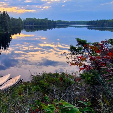 Why Voyageurs National Park in Minnesota is a hidden well of natural beauty — USA TODAY Minnesota Nature, Voyageurs National Park, Northern Minnesota, Usa Today, Minnesota, National Park, Natural Beauty, National Parks, Voyage