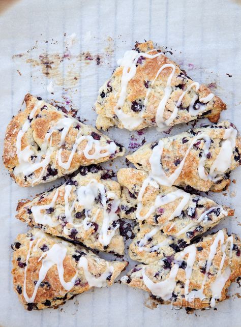 Wild Blueberry Scones Blueberry Scone, Blueberry Scones, Lemon Glaze, Blueberry Recipes, Wild Blueberries, Scone Recipe, Blue Berry Muffins, Blueberries, Brunch Recipes