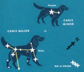 Constellation of the Month: Constellation Canis Major Astronomy Crafts, Orion Tattoo, Canis Major, Astronomy Tattoo, Sirius Star, Stars Constellations, Orion's Belt, Constellation Art, Arte Indie