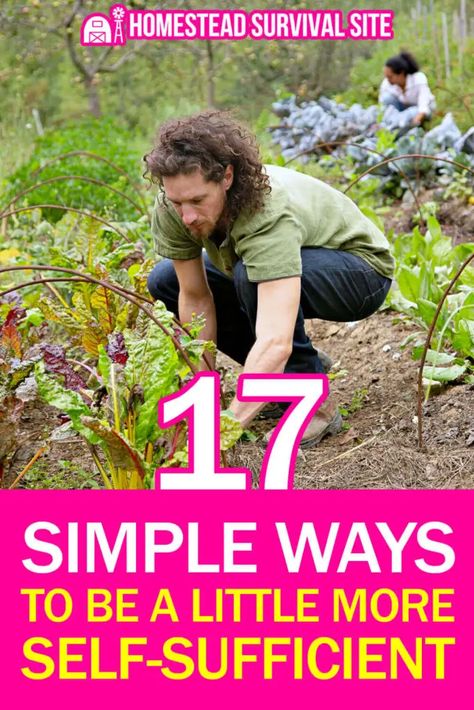 Becoming self-sufficient is a daunting task. Fortunately, there are many simple things you can do to get started no matter where you live. Survival Skills Emergency Preparedness, Self Sufficiency, Herbs Garden, Acid Loving Plants, Self Sufficient, Survival Techniques, Homestead Survival, Daily Health Tips, Natural Cleaners