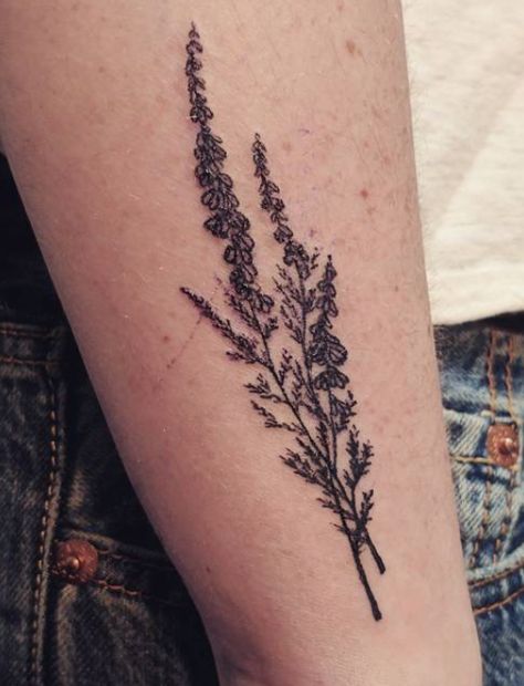 Lavender Wrap Tattoo, Lavender Tattoo Forearm, Lavender Hatchet Tattoo, Herbal Tattoo Ideas, I Buried A Hatchet It's Coming Up Lavender Tattoo, Herbs Tattoo, Lavender Tattoo Leg, Heather Plant Tattoo, Vervain Tattoo