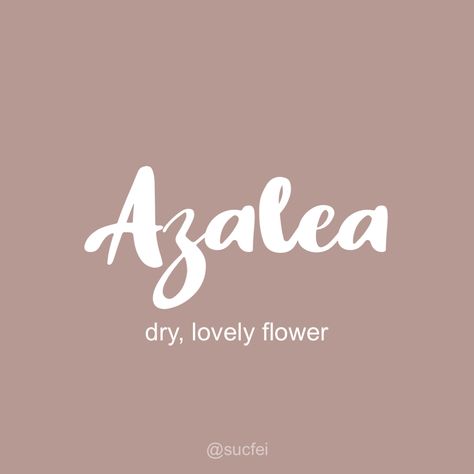 Azalea Name Meaning, Azalea Name, Hindi Names, Country Baby Names, Meaningful Baby Names, Unisex Baby Names, Unique Girl Names, Biblical Names