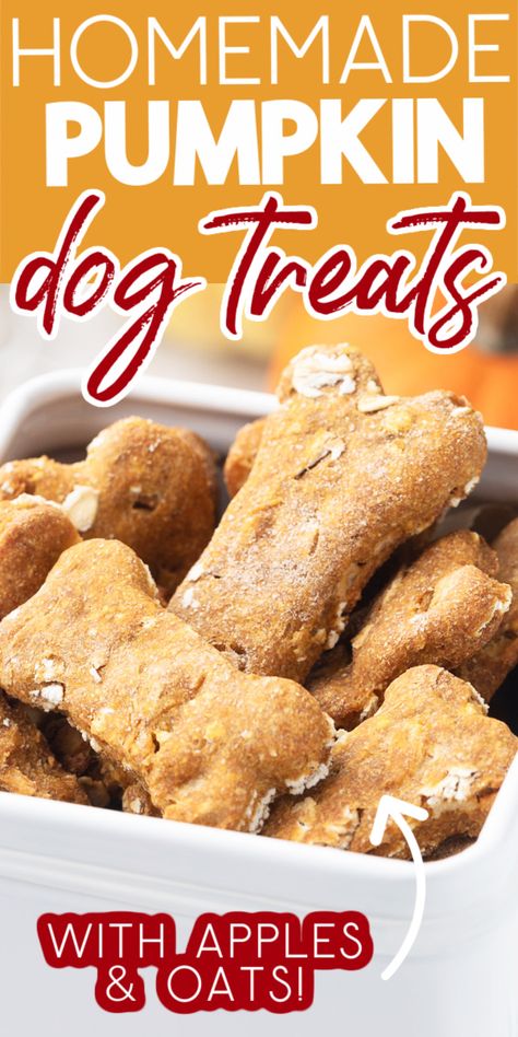 Treat your favorite pup to a batch of homemade biscuits, recipe courtesy of Board-Certified Veterinary Nutritionist®, Martha Cline! These Pumpkin Dog Treats with Apples and Oats are easy to make and "Toby-Approved." Four enthusiastic paws up! #dogtreats #pumpkin #apple #baking Treats With Apples, Homemade Pumpkin Dog Treats, Pumpkin Dog Treat, Pumpkin Dog Biscuits, Cooked Pumpkin, Baby Treats, Apple Baking, Pet Recipes, Homemade Biscuits Recipe