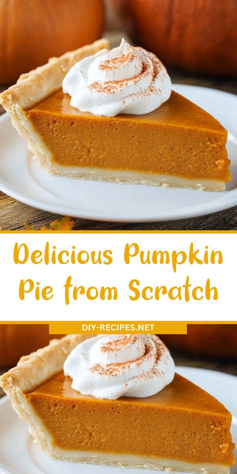 Try this Delicious Pumpkin Pie made from scratch! A creamy, spiced filling that’s perfect for Thanksgiving or any fall occasion. Roast Pumpkin For Pie, Pumpkin Pie Recipe With Pumpkin Spice, Fresh Pumpkin Pie Filling, Sugar Pie Pumpkin Recipes, Pumpkin Pie Filling Recipe From Scratch, Pumpkin Pie From Fresh Pumpkin, Pumpkin Pie From Real Pumpkin, How To Make Pumpkin Pie, Pumpkin Pie With Real Pumpkin