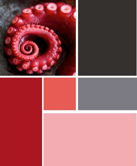 . Grey Pink Color Palette, Octopus Colors, Color Palets, Dark Neutrals, Pink Color Palette, Paint Palettes, Red Octopus, Color Board, Color Schemes Colour Palettes