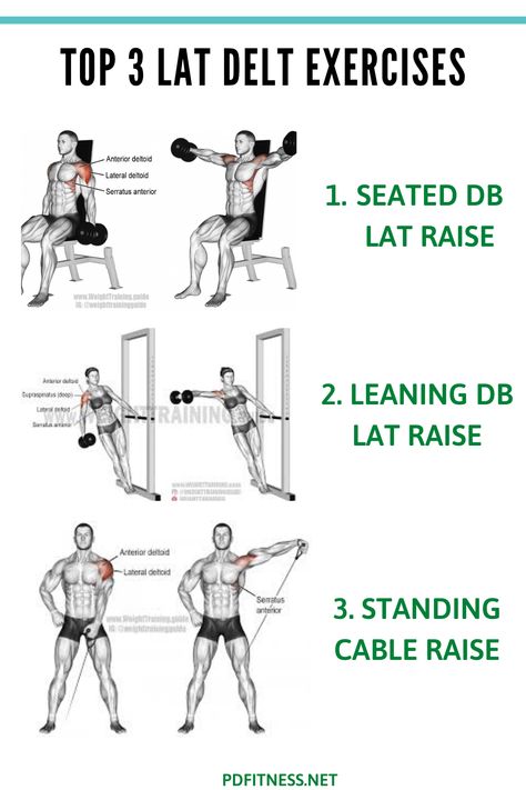 How To Grow Your Lats, At Home Lat Workout, Dumbbell Lat Workout, Lat Workout At Home, Lat Workouts, Exercise Shoulders, Lat Exercises, Lat Workout, Gym Things