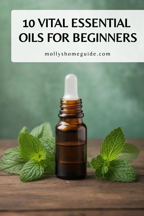 Discover the ultimate beginner's guide to essential oils with our comprehensive resource. Learn how to use essential oils effectively, including top picks like lavender, peppermint, and tea tree. Dive into the life-changing benefits of essential oils for women's health and explore must-have blends for beginners. Our guide includes a handy dilution chart, so you can use oregano, clary sage, lemongrass, eucalyptus, and more safely. Lemongrass Essential Oil Uses, Essential Oil Chart, Essential Oils For Beginners, Oil Image, Benefits Of Essential Oils, Natural Disinfectant, Essential Oils Guide, Ylang Ylang Essential Oil, Chamomile Essential Oil