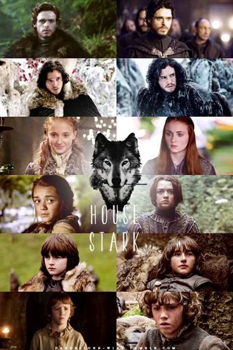 Stark Kids Then & Now Rickon Stark, Stark Children, Tv Scenes, Game Of Thrones 3, Valar Dohaeris, Game Of Thrones Tv, Got Game Of Thrones, I Love Games, House Stark