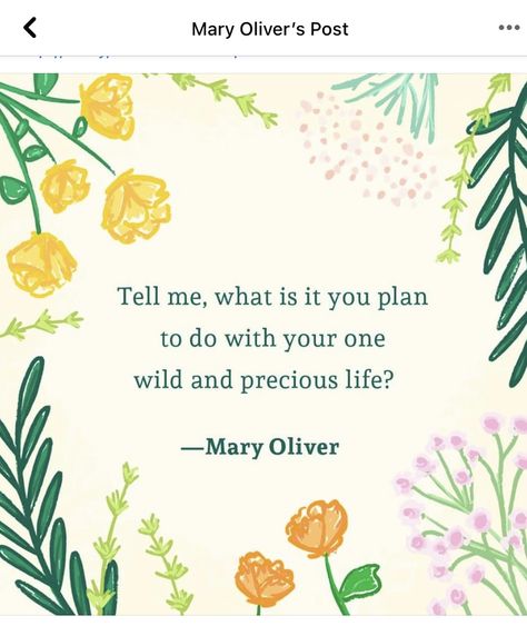 One Wild And Precious Life, Wild And Precious Life, Mary Oliver, Garden Quotes, Journal Quotes, Sweet Quotes, Lovely Quote, Wall Board, New Wall