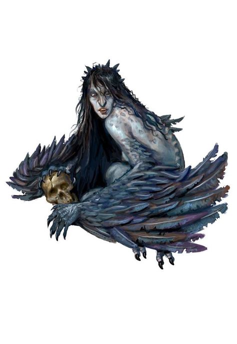 Dnd Harpy Art, Dnd Harpers, Dnd Harpy, Harpy Mythology, Harpy Monster, Harpy Art, Monsters Mythology, Greek Creatures, Dungeon Master's Guide