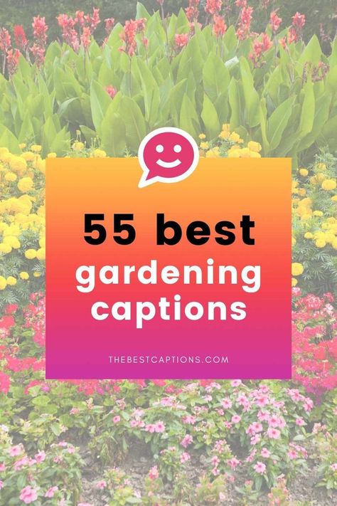 Garden Captions For Instagram, Garden Captions, Flower Puns, Garden Puns, Growing A Garden, Love Captions, Captions For Instagram, Flower Show, Instagram Captions