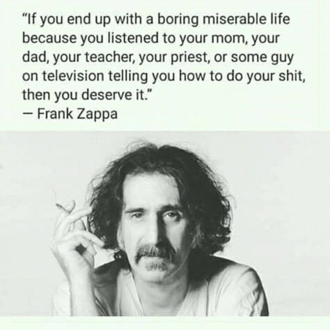 Frank Zappa Quote, Existentialism Quotes, Inspiration Quote, Frank Zappa, 9k Followers, Philosophy Quotes, Your Awesome, Literary Quotes, Wise Quotes