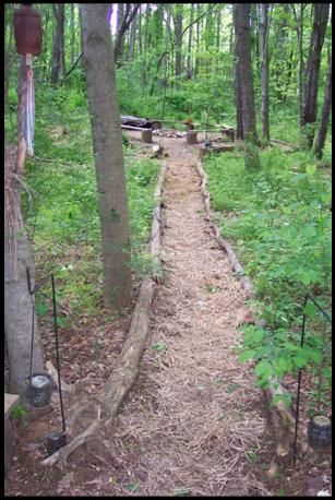 Wooded Backyard Landscape, Backyard Walkway, Wooded Landscaping, Forest Trail, Garden Show, Woodland Garden, Garden Path, Love Garden, Backyard Garden Design