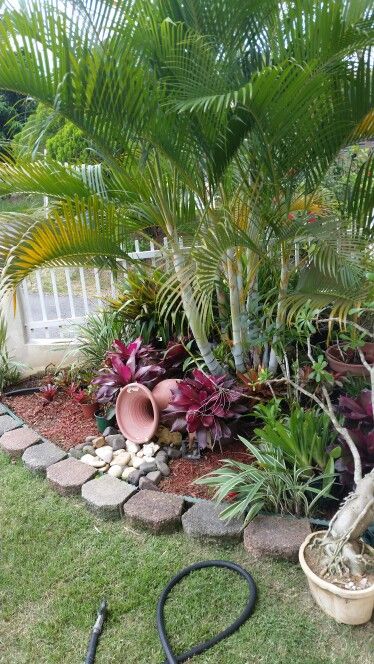 Florida Plants Landscaping, Modern Garden Landscaping, Small Tropical Gardens, Tropical Backyard Landscaping, Tropical Landscape Design, Small Front Yard Landscaping, Tropical Garden Design, Tropical Backyard, Backyard Garden Landscape