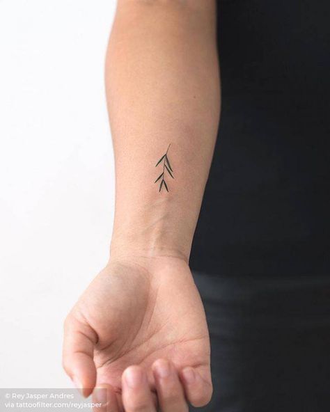 Olive Tattoo, Olive Branch Tattoo, Inner Forearm Tattoo, Branch Tattoo, Forearm Tattoo Women, Disney Tattoo, Tattoo Designs And Meanings, Subtle Tattoos, Time Tattoos