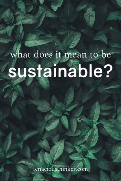 This introduction to sustainability talks about the history of the environmental movement, the impacts of industry on the environment and people, and ways to minimize our impacts on the environment. Many people are focusing on living more sustainably and eco-friendly. Did you know you can use minimalism to fast-track your environmentally conscious lifestyle?  #environmentalist #Environmentalism #ecoconscious #EcoLiving #EcoFriendly #ecolife #ecolifestyle #ecoblogger #greenliving #ecominimalism Environmental Quotes, Conscious Lifestyle, Environmental Movement, Eco Life, Eco Lifestyle, Marketing Instagram, Sustainable Community, Conscious Living, Work Diy