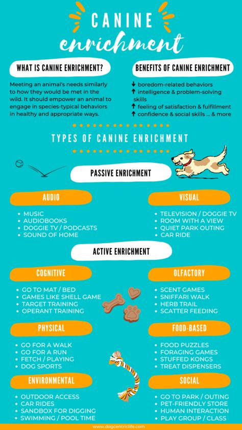 Types Of Canine Enrichment: Infographic - DogCentric Life Dog Enrichment Toys, Canine Enrichment, Diy Dog Toys, Dog Enrichment, Enrichment Activities, Dog Information, Daycare Activities, Types Of Dogs, Dog Daycare