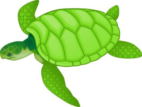 Sea turtle clip art free 2 Sea Life Clipart, Cartoon Turtle, Green Sea Turtle, Preschool Letters, Green Turtle, Photos Hd, Green Sea, Cartoon Clip Art, Free Clip Art