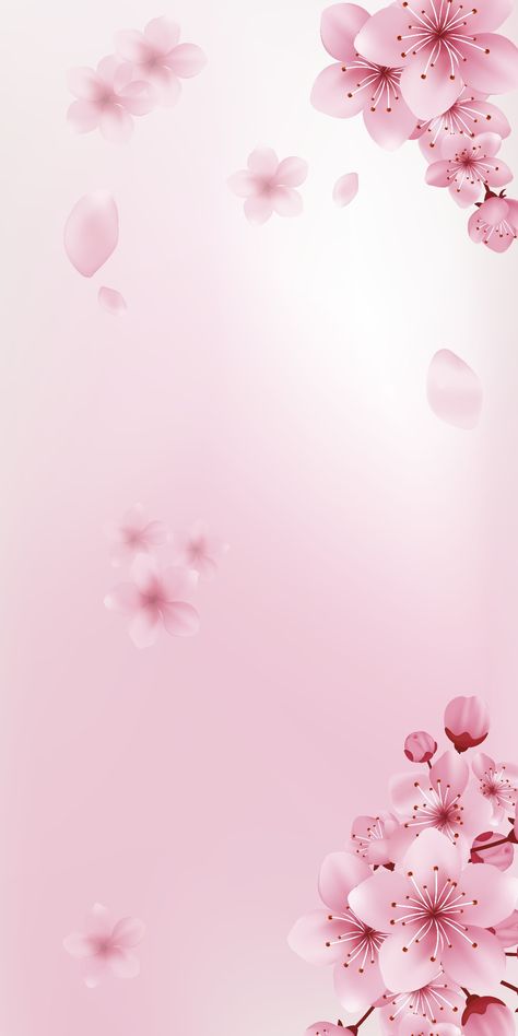 White And Pink Aesthetic Background, Spring Background Wallpapers Simple, Pink Flower Background Design, Soft Pink Lockscreen Aesthetic, Cute Pink Wallpaper Ipad, Pink Sakura Wallpaper, Pink Spring Wallpaper, Ppt Background Aesthetic, Pink January