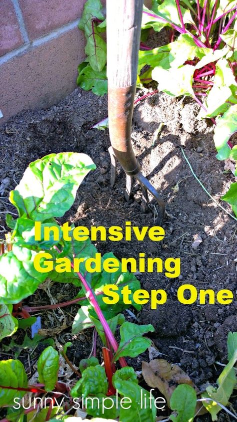 bio intensive gardening, soil preparation, urban garden, Sunny Simple Life: Intensive Gardening Step One Intensive Gardening, Biointensive Gardening, Garden Soil Preparation, Organic Pesticide, Vegetable Garden Planning, Garden Steps, Edible Landscaping, Garden Pests, Garden Soil