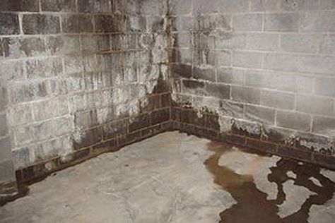 Solve Moisture Problems in Concrete Basements Sealing Basement Walls, Waterproofing Basement Foundation, Waterproofing Basement Walls, Leaky Basement, Basement Repair, Leaking Basement, Wet Basement, Diy Basement, Wall Waterproofing