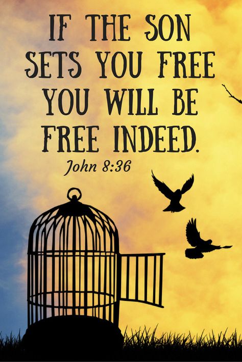 If the Son sets you free, you will be free indeed. (John 8:36) Who The Son Sets Free Is Free Indeed, John 8 36, Free Indeed, John 8, Learn Spanish, Favorite Bible Verses, Gods Promises, Set You Free, Spiritual Inspiration