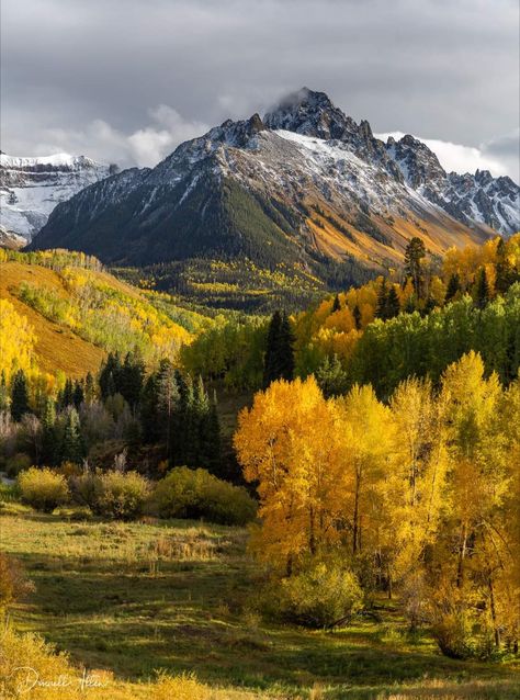 Beautiful Mountains Photography, Foto Top, Scenic Pictures, Aspen Trees, Autumn Scenery, Mountain Paintings, Natural Scenery, Fall Pictures, Autumn Landscape