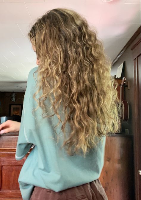 Natural Beach Blonde Hair, Long Wavy Highlighted Hair, Dirty Blonde Curly Hair With Highlights, Long Curly Light Brown Hair, Wavy Hair Blonde Highlights, Wavy Dirty Blonde Hair, Curly Dirty Blonde Hair, Dark Blonde Curly Hair, Dirty Blonde Curly Hair