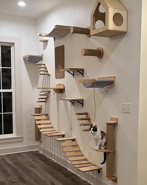 Cat Jungle Gym, Diy Climbing Wall, Cat Bridge, Cat Climbing Shelves, Cat Climbing Wall, Wooden Cat Tree, Cat Climbing Tree, Cat Gym, Cat Patio